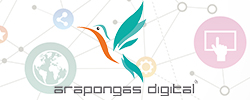Projeto Arapongas Cidade Digital