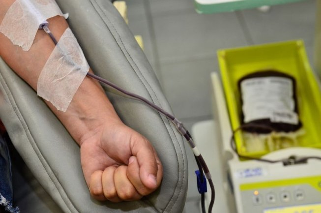 Prefeitura reforça sobre cadastramento para doação de sangue; saiba como participar