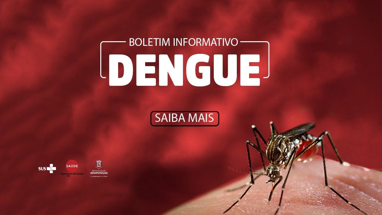 Boletim da Dengue: Arapongas confirma 182 casos; confira ações de combate e prevenção